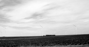 A lovely site. I know I am on the short end of the trip home when I start seeing cotton fields and windmills.